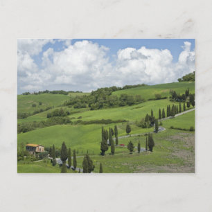 Italië, Toscane. La Foce. Een gebogen weg slingert Briefkaart