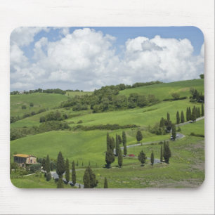 Italië, Toscane. La Foce. Een gebogen weg slingert Muismat
