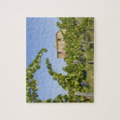 Italië, Toscane, Montepulciano. Wijndruiven gereed Legpuzzel (Verticaal)