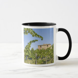 Italië, Toscane, Montepulciano. Wijndruiven klaar Mok