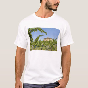 Italië, Toscane, Montepulciano. Wijndruiven klaar T-shirt