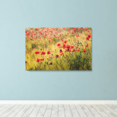 Italië, Toscane, papavers in de lenteswarveld. Canvas Afdruk (Insitu (Houten vloer))