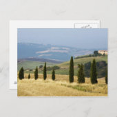 Italië. Toscane. Pienza. Briefkaart (Voorkant / Achterkant)