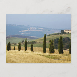 Italië. Toscane. Pienza. Briefkaart