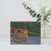 Italië, Toscane. Rode geraniums stromen uit een Briefkaart (Staand voorkant)
