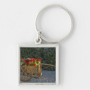 Italië, Toscane. Rode geraniums stromen uit een Sleutelhanger