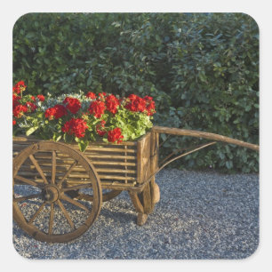 Italië, Toscane. Rode geraniums stromen uit een Vierkante Sticker