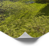 Italië, Toscane. Roofop-uitzicht van de villa Poster (Hoek)