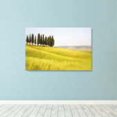 Italië Toscane, Selectieve Focus Cipressen Canvas Afdruk (Insitu (Houten vloer))