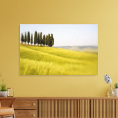Italië Toscane, Selectieve Focus Cipressen Canvas Afdruk (Insitu (Woonkamer))