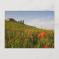 Italië, Toscane, Toscaanse Villa in de Lente Met