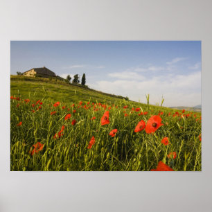 Italië, Toscane, Toscaanse Villa in het voorjaar m Poster