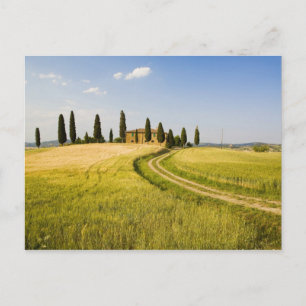 Italië, Toscane, Toscaanse villa nabij de oogst. Briefkaart