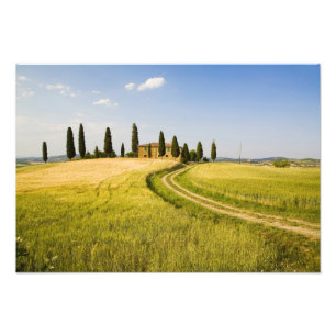 Italië, Toscane, Toscaanse villa nabij de oogst. Foto Afdruk