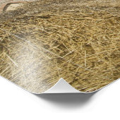 Italië, Toscane, Toscane Villa in de lente. 2 Foto Afdruk (Hoek)