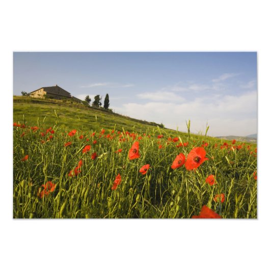 Italië, Toscane, Toscane Villa in de lente met Foto Afdruk (Voorkant)