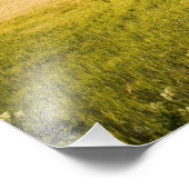 Italië, Toscane, Toscane Villa naburend oogvest. Foto Afdruk (Hoek)