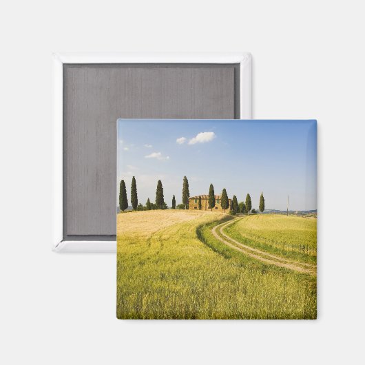 Italië, Toscane, Toscane Villa naburend oogvest. Magneet (Voorkant / Achterkant)