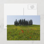 Italië, Toscane, Val D'Orcia, Landschap Briefkaart (Voorkant / Achterkant)