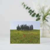 Italië, Toscane, Val D'Orcia, Landschap Briefkaart (Staand voorkant)