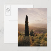 Italië, Toscane, Val d'Orcia, Montalcino Briefkaart (Voorkant / Achterkant)