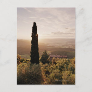 Italië, Toscane, Val d'Orcia, Montalcino Briefkaart