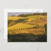 Italië, Toscane, ZigZag Road in Toscane. Briefkaart (Voorkant / Achterkant)