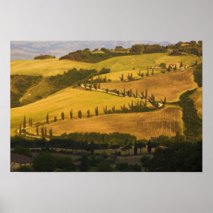 Italië, Toscane, ZigZag Road in Toscane. Poster