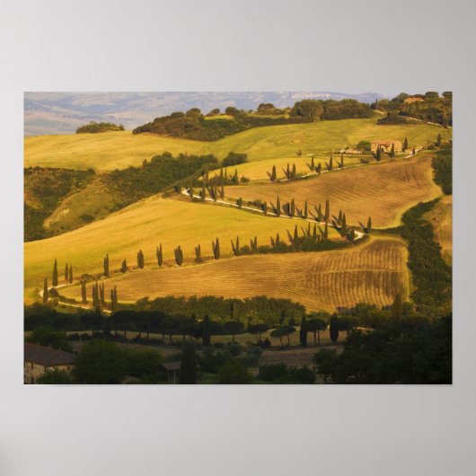 Italië, Toscane, ZigZag Road in Toscane. Poster (Voorkant)