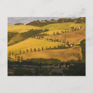Italië, Toscane, ZigZag-weg in Toscane. Briefkaart