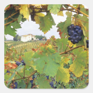 Italië, Tuscany Boerderij bekeken door Vierkante Sticker
