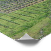 Italië Wijnvelden Poster (Hoek)