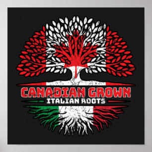 Italy Italian Canadian Canada Tree Roots Flag Poster