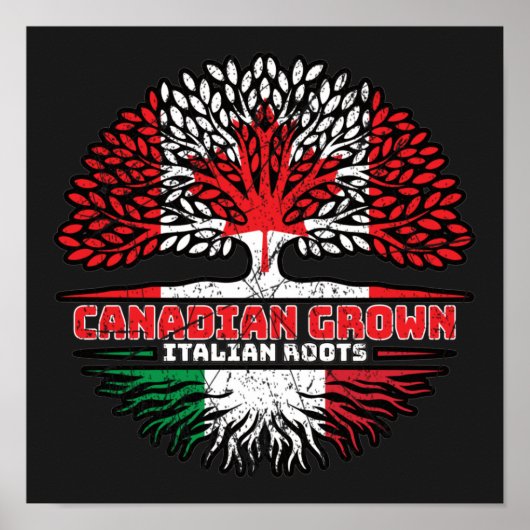 Italy Italian Canadian Canada Tree Roots Flag Poster (Voorkant)