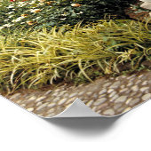 Italy, Sicily, Palermo. The cloisters survive as Poster (Hoek)