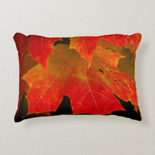 Itasca State Park, herfstkleuren 2 Accent Kussen