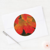 Itasca State Park, herfstkleuren 2 Ronde Sticker (Envelop)
