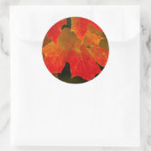 Itasca State Park, herfstkleuren 2 Ronde Sticker (Tas)
