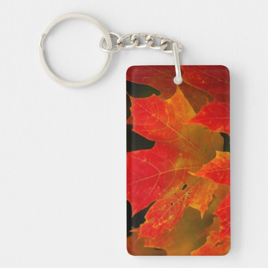 Itasca State Park, herfstkleuren 2 Sleutelhanger (Voorkant)