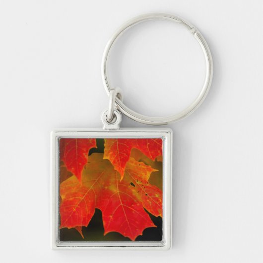 Itasca State Park, herfstkleuren 2 Sleutelhanger (Voorkant)