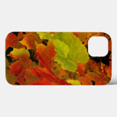 Itasca State Park, herfstkleuren Case-Mate iPhone Case (Achterkant (horizontaal))