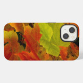 Itasca State Park, herfstkleuren iPhone Hoesje (Achterkant horizontaal)