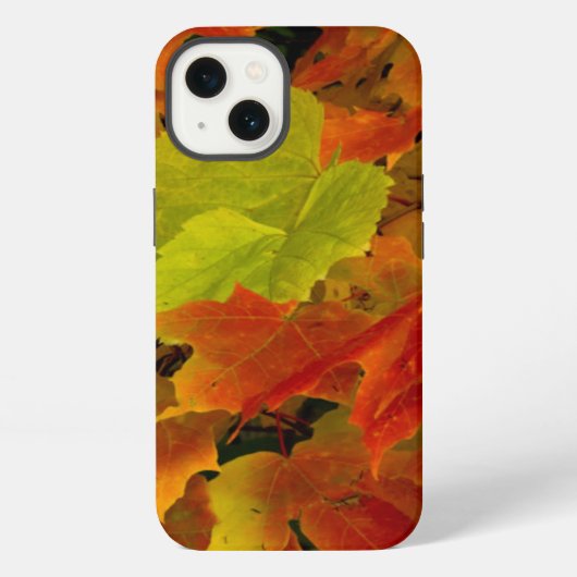 Itasca State Park, herfstkleuren iPhone Hoesje (Achterkant)