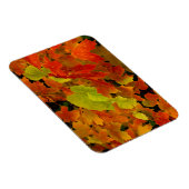 Itasca State Park, herfstkleuren Magneet (Rechterzijde)