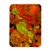 Itasca State Park, herfstkleuren Magneet (Verticaal)