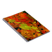 Itasca State Park, herfstkleuren Notitieboek (Rechterzijde)