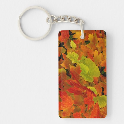 Itasca State Park, herfstkleuren Sleutelhanger (Voorkant)