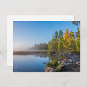 Itasca State Park, Minnesota Briefkaart (Voorkant / Achterkant)