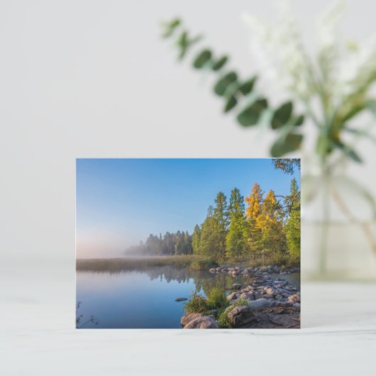 Itasca State Park, Minnesota Briefkaart (Staand voorkant)