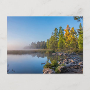 Itasca State Park, Minnesota Briefkaart